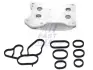 Радіатор масляний Fiat Doblo 1.3MJTD (09-) FAST FT55280 (фото 1)