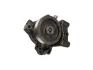 Насос водяний Fiat Ducato/Peugeot Boxer/Citroen Jumper (06-) 3.0 JTD 6PK FAST FT57147 (фото 1)