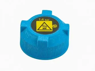 Кришка розширювального бачка FIAT Doblo 09-23, Doblo 00-09, Punto 03-10, Idea 03-12, Siena 97-16, Albea 96-11, Bravo 95-01, Linea 07-18, Multipla 03-10, Palio 96-20, Seicento 98-10; ALFA ROMEO 156 97-07, GT 03-10, 147 00-10, 145 96-01; LANCIA Musa 04 FAST FT58401