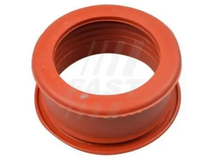 Патрубок повітря 1.6HDI 16V,1.6HDI 8V Fiat Scudo 07-16, Peugeot Expert 07-16, Citroen Berlingo 08-18 FAST FT61773