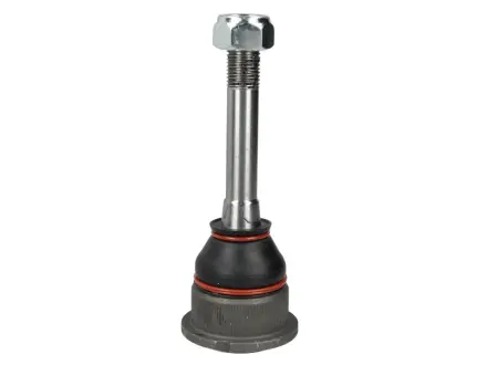 Опора кульова (передня/знизу/всередині) BMW 3 (E36)/Z3 (E36) 1.6i-3.2 90-03 FEBI BILSTEIN 03822