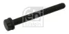 Болт головки цилідра Febi FEBI BILSTEIN 09798 (фото 1)