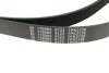 Ремінь поліклиновий FE176965 FEBI BILSTEIN 176965 (фото 2)