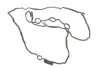 Прокладка кришки клапанів BMW 3 (G20/G80/G28)/5 (G30/F90)/7 (G11/G12) B48 FEBI BILSTEIN 178412 (фото 4)