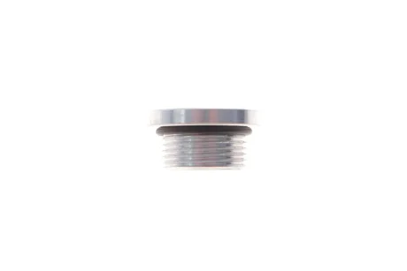 Болт зливу оливи (АКПП) VW e-Golf 14-/e-Crafter 18- (M24x1.5) FEBI BILSTEIN 188327