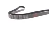 Ремінь генератора MB Sprinter (W907/W910) 2.2CDI (OM651) 18- FEBI BILSTEIN 188477 (фото 4)