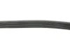 Ремінь генератора Audi A3 1.6/2.0FSI 03-13/Citroen Berlingo 1.9D 96-11/Caddy 1.6-2.0 95-15 (6PK1045) FEBI BILSTEIN 28915 (фото 2)