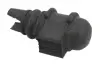Втулка стабілізатора RENAULT Megane/Scenic "F D=24,5mm "95-03 ="" Febi FEBI BILSTEIN 31009 (фото 2)