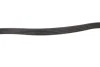 Ремінь генератора BMW 3 (E36) 1.8TDS 95-00 (5PK1885) FEBI BILSTEIN 36004 (фото 3)