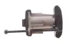 Натягувач 37221 FEBI BILSTEIN 37221