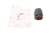 Втулка стабілізатора LAND ROVER Range Rover Sport "R "05-13 ="" Febi FEBI BILSTEIN 40081 (фото 1)