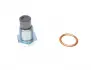 Болт зливу оливи + шайба Citroen BX/Peugeot 205/309/405 -96 (M16x1.5) FA1 Fischer Automotive One (FA1) 153.520.011 (фото 4)