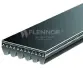 Пас полікліновий Flennor 6PK1113 (фото 1)
