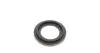 Ремкомплект супорта (переднього) Nissan Navara/NP300 01- (d=46mm)(+2 поршні) (Niss) FRENKIT 246910 (фото 4)