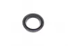 Ремкомплект гальмівного супорту INFINITI/NISSAN QX56/Armada/Pathfinder \'\'F \'\'03>> ="" FRENKIT 251054 (фото 7)
