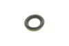 Ремкомплект суппорта (заднего) SsangYong Korando/Musso/Rexton 96- (d=43mm) (Mando) (+поршень/направляющая) SuperKit FRENKIT 743045 (фото 6)