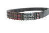 Ремень привода колеса Yamaha YFM 350 04-09 (29x876x13.4) GATES Gates 16G3332 (фото 4)