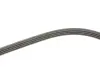 Ремінь генератора Renault Clio 1.2/1.4 90-98/Nissan Micra/Note 1.0-1.4 03-12 Gates 4PK1070 (фото 3)