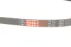 Ремінь генератора Great Wall C30/Florid/Haval/Voleex 1.5 08- Gates 4PK1210 (фото 5)