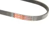 Ремінь генератора BMW 1 (E87)/3 (E90/E91) 2.0D 04-11 Gates 4PK810SF (фото 5)