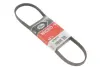 Ремінь генератора Mazda 323 1.3-1.8 -93/Hyundai Elantra 2.0 00-06/Toyota Camry 3.0 96-06 GATES 4PK878