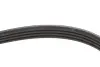 Ремінь генератора Audi/BMW/Fiat/Kia/Mazda Gates 4PK890 (фото 3)