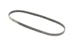 Ремінь генератора Ford Focus III/IV 2.0 ST/2.3 RS 12- (4PK890) Gates 4PK890SF (фото 2)