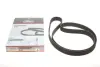 Ремінь ГРМ Audi A4/A6/A8/VW Passat 2.5TDI 97-05/Skoda Superb 2.5TDI 01-08 (207x30) GATES 5557XS 5557XS