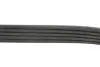 Ремінь генератора Ford Escort 1.8 D 90-00 Gates 5PK1013 (фото 4)