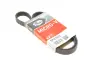 Ремінь генератора Citroen Jumper 3.0HDI 06- Gates 5PK1023 (фото 1)