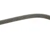 Ремінь генератора Citroen Jumper 3.0HDI 06- Gates 5PK1023 (фото 3)