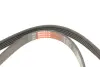 Ремінь генератора Citroen Jumper 3.0HDI 06- Gates 5PK1023 (фото 4)
