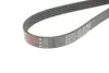 Ремінь генератора Land Rover Range Rover Sport 5.0 09-13 Gates 5PK1173 (фото 3)