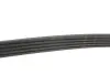 Ремінь генератора Land Rover Range Rover Sport 5.0 09-13 Gates 5PK1173 (фото 4)