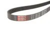 Ремінь Gates 5PK1550 (фото 2)