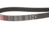 Ремінь Gates 5PK1550 (фото 3)