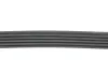 Ремінь генератора BMW 3 (E46)/X5 (E53)/5 (E39) 2.5D/3.0D 98-06 Gates 5PK810 (фото 3)