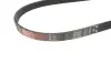 Ремінь генератора BMW 3/5 90-00 / Ford Focus 2.5 05-12 Gates 5PK890 (фото 2)