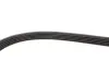 Ремінь генератора BMW 3/5 90-00 / Ford Focus 2.5 05-12 Gates 5PK890 (фото 3)