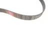 Ремінь генератора Fiat Ducato 2.5D/TD (PS) Gates 6PK1010 (фото 2)