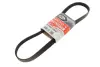 Ремінь генератора Ford Focus/Fiesta/Fusion/Mazda 2 1.25-1.6 98- Gates 6PK1042-1059SF (фото 1)