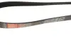 Ремінь генератора Ford Focus/Fiesta/Fusion/Mazda 2 1.25-1.6 98- Gates 6PK1042-1059SF (фото 2)