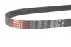 Ремень привода навесного оборудования Gates 6PK1130 (фото 2)