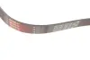 Ремінь генератора Citroen Jumper/Peugeot Boxer 3.0HDI 03- Gates 6PK1163 (фото 2)