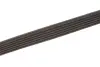 Ремінь генератора Renault Kangoo/Logan/Scenic/Talisman 1.4/1.5 dCi/1.6 03- Gates 6PK1198 (фото 3)