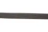 Ремінь генератора Ford Scorpio/Sierra 2.0i 85-94 Gates 6PK1228 (фото 3)
