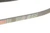 Ремінь генератора Ford Focus II/C-Max/Volvo C30/S40 II/V50 1.8/2.0 04-12 Gates 6PK1249SF (фото 4)