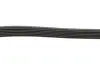 Ремінь генератора Opel Astra G/H/ Combo/Corsa C/Meriva A 1.7CDI 04- Gates 6PK1275 (фото 3)