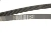 Ремінь генератора Ford Focus/C-Max 1.8 TDCi 05-12/Skoda Octavia 1.4 i 99-01 Gates 6PK1520 (фото 5)