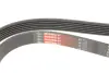 Ремінь генератора Fiat Doblo/Opel Combo 1.3D 10- Gates 6PK1525 (фото 4)